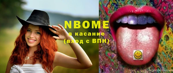 таблы Богородицк