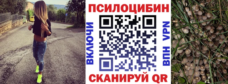 Псилоцибиновые грибы мицелий  Котовск 